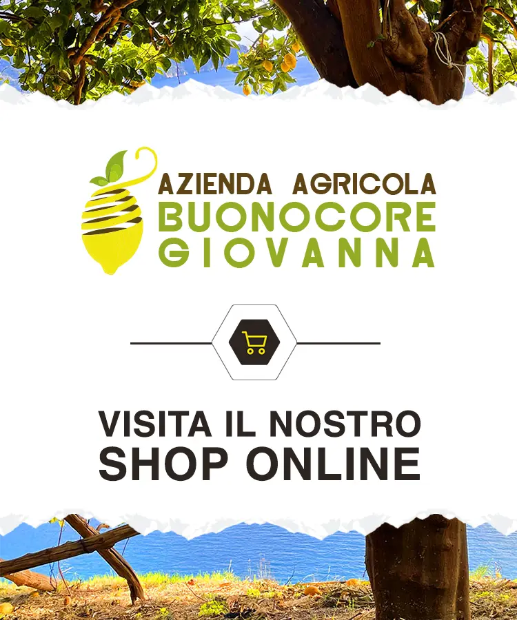 Azienda Agricola Buonocore